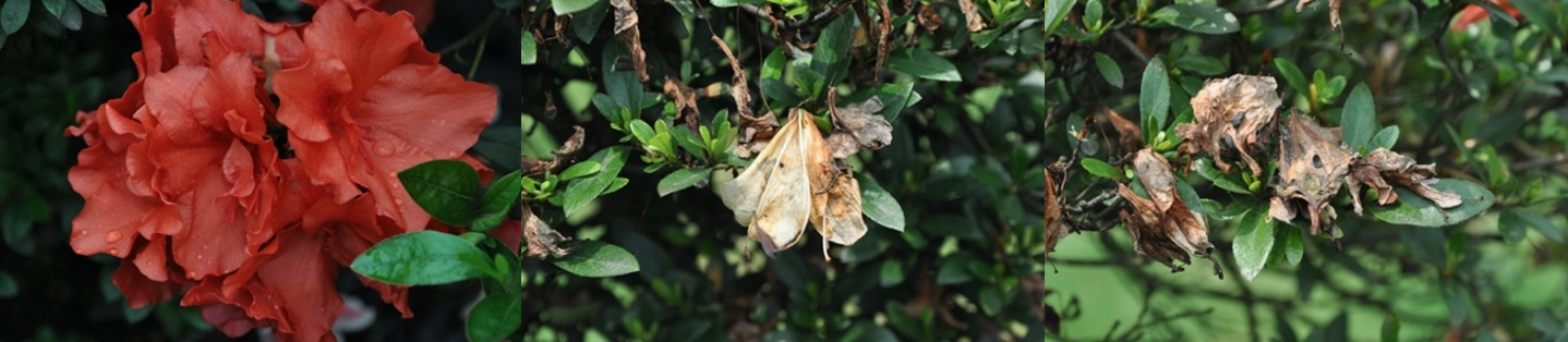 1665882940167916.png 截屏2022-10-1609.15.36.png