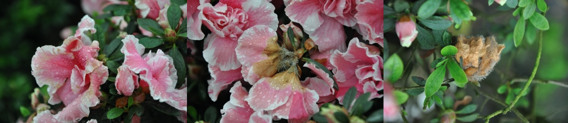 1665882999419191.png 截屏2022-10-1609.16.35.png